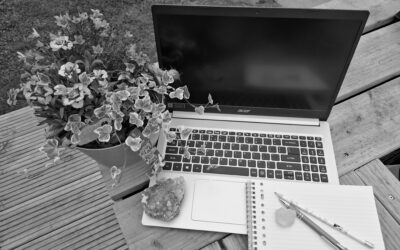 Bedrijfsvoering met bezieling