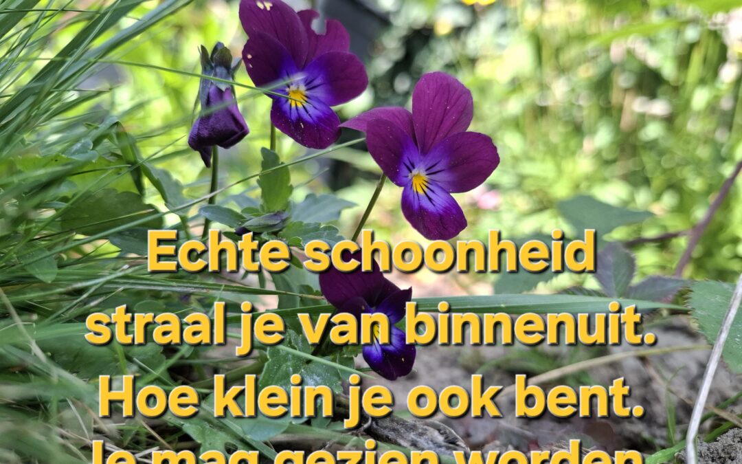 Als je verder durft te kijken