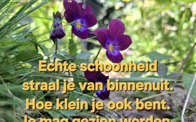 Als je verder durft te kijken